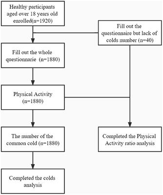 Regular Physical Activities Inhibit Risk Factors of the Common Cold Among Chinese Adults